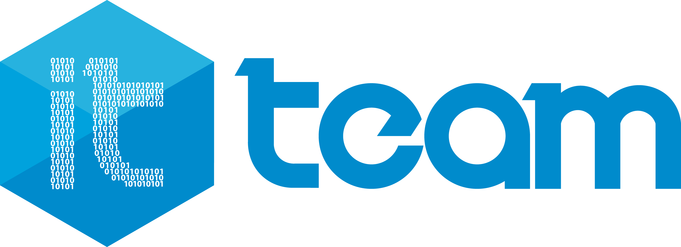 IT TEAM